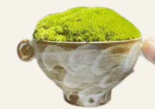 花艺分类封面