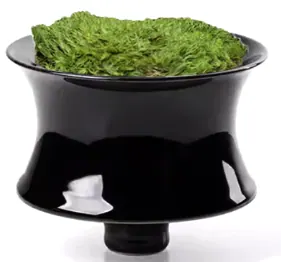 Moss Decor Object