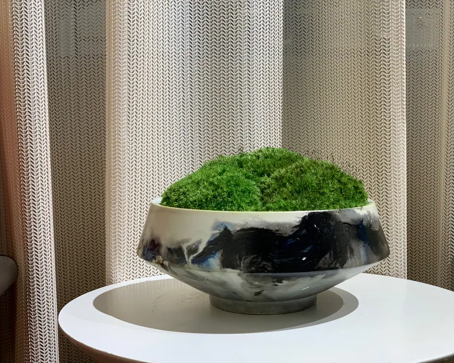 Moss Decor Object
