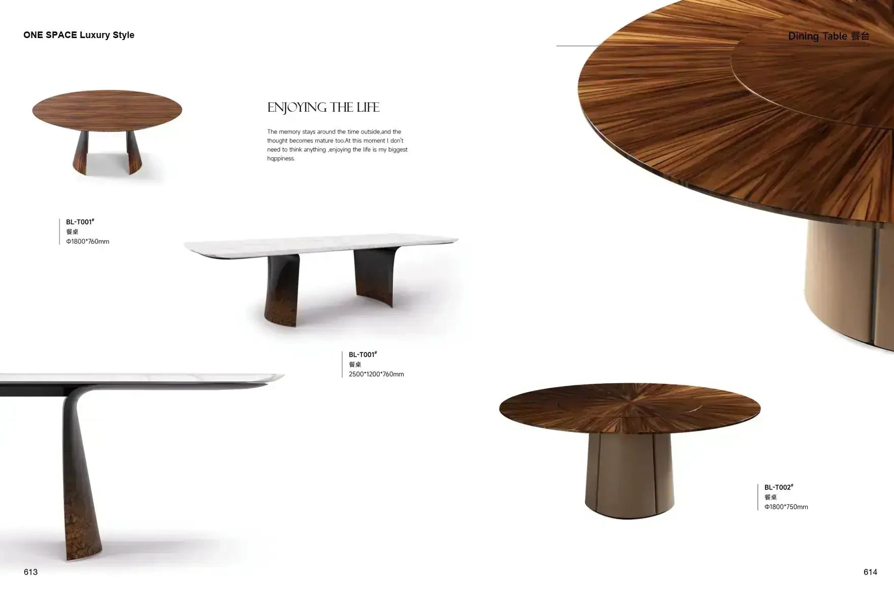 FOSHAN MATERIALS Luxury Style 1 page 310