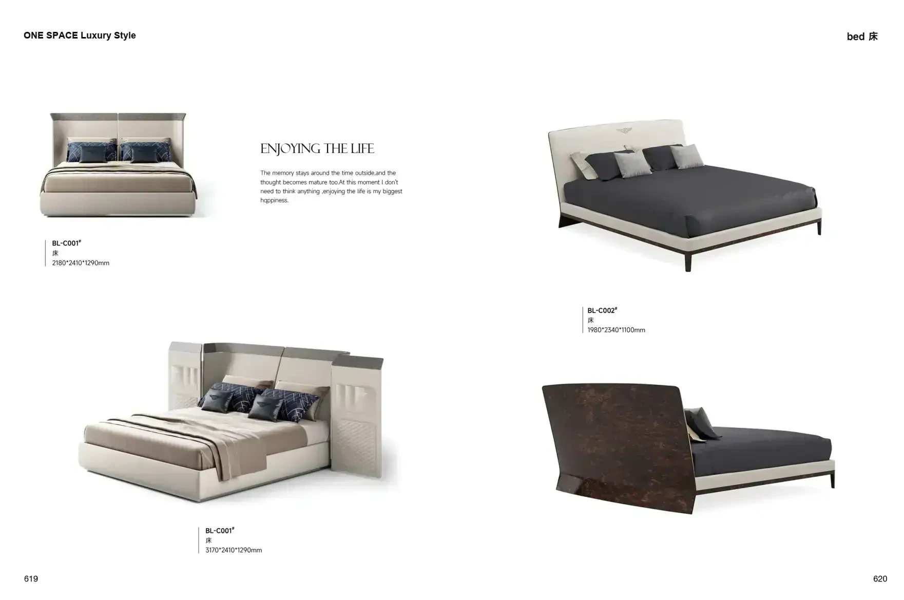 FOSHAN MATERIALS Luxury Style 1 page 313