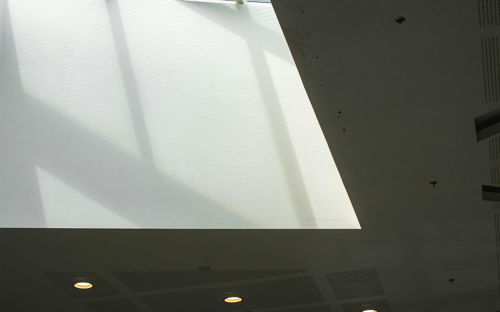 Ceiling materials and light troughs